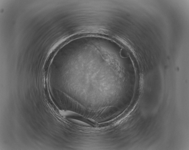 X0000083040925200702161703