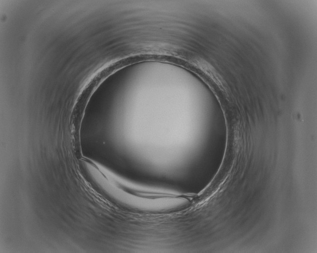 X0000083040926200702161703