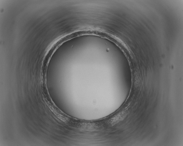 X0000083040927200702161703