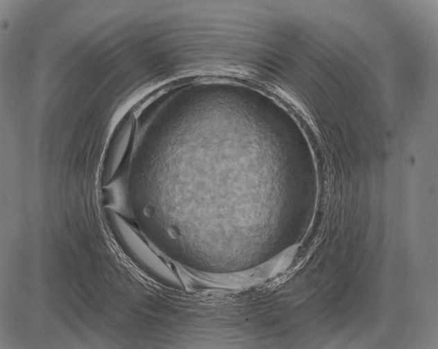 X0000083040928200702161703