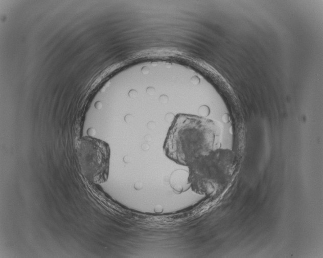 X0000083040929200702161703