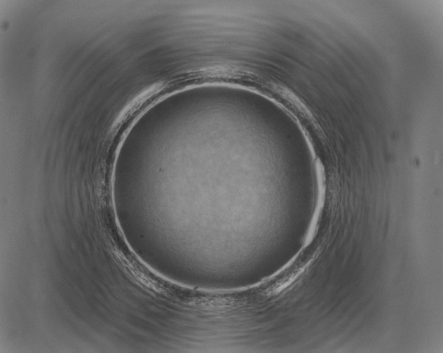 X0000083040930200702161703