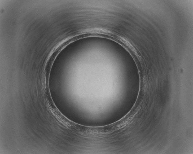 X0000083040931200702161703