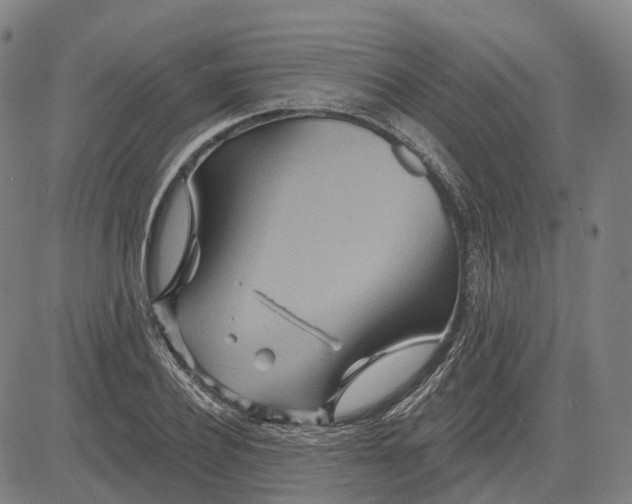 X0000083040932200702161703