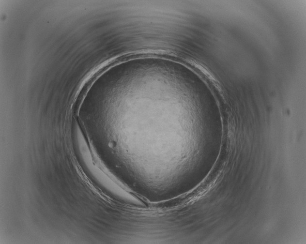 X0000083040933200702161703