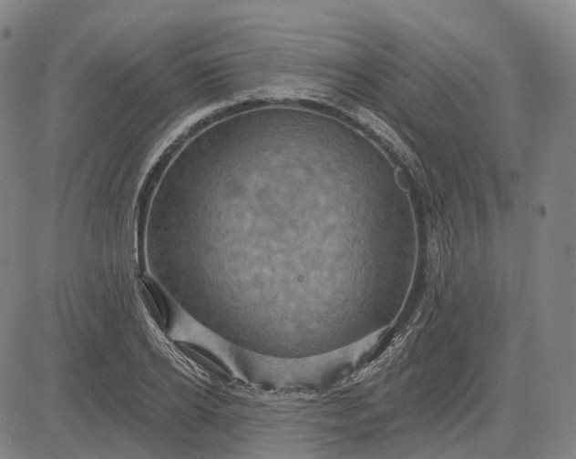 X0000083040934200702161703