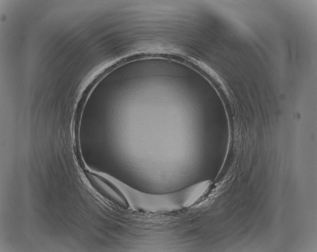 X0000083040935200702161703