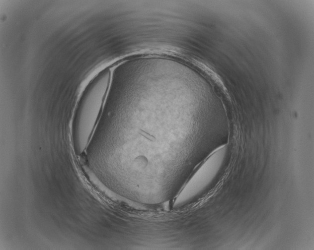 X0000083040936200702161703