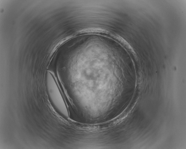 X0000083040937200702161703