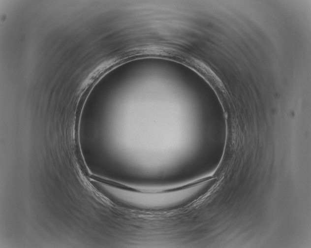 X0000083040938200702161703