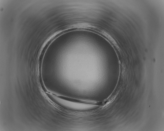 X0000083040939200702161703