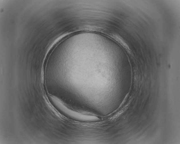 X0000083040940200702161703