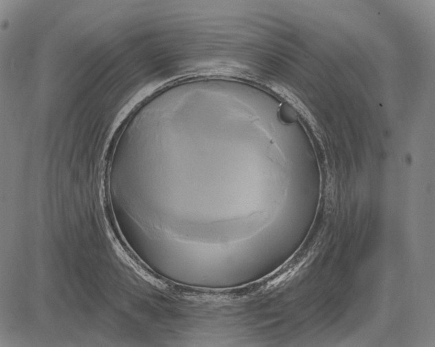 X0000083040941200702161703