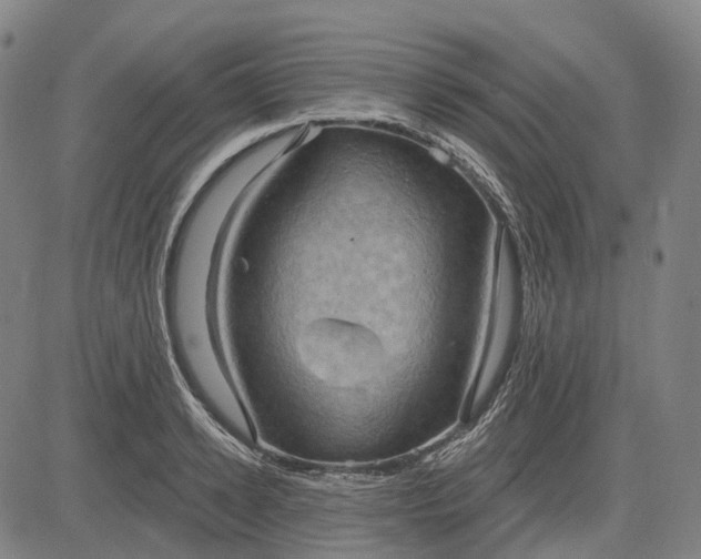 X0000083040942200702161703