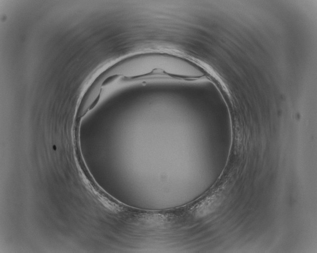 X0000083040943200702161703