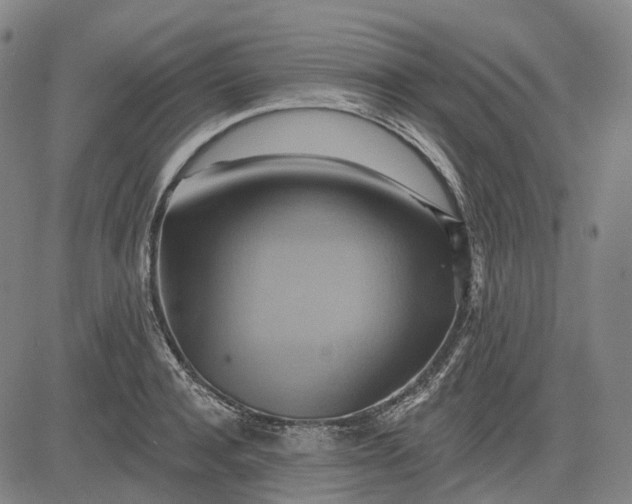 X0000083040944200702161703