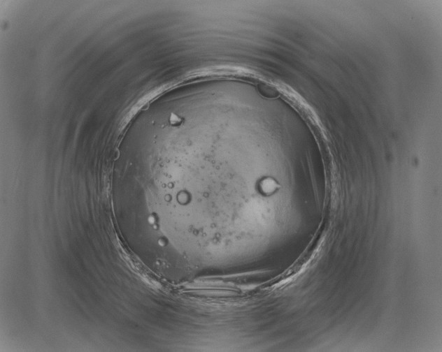 X0000083040945200702161703