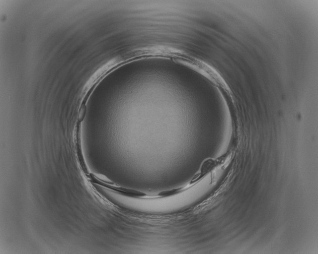 X0000083040946200702161703