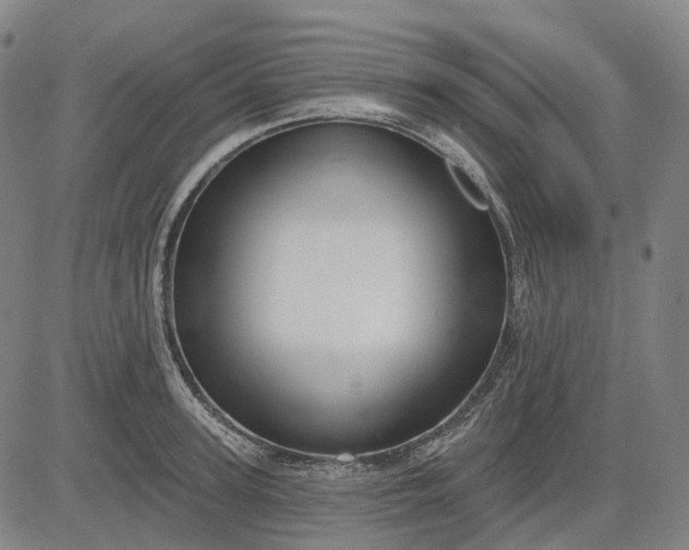 X0000083040947200702161703