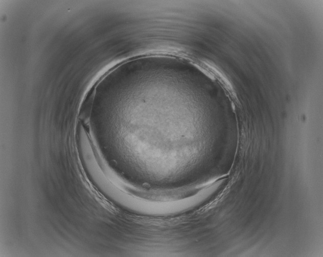 X0000083040948200702161703