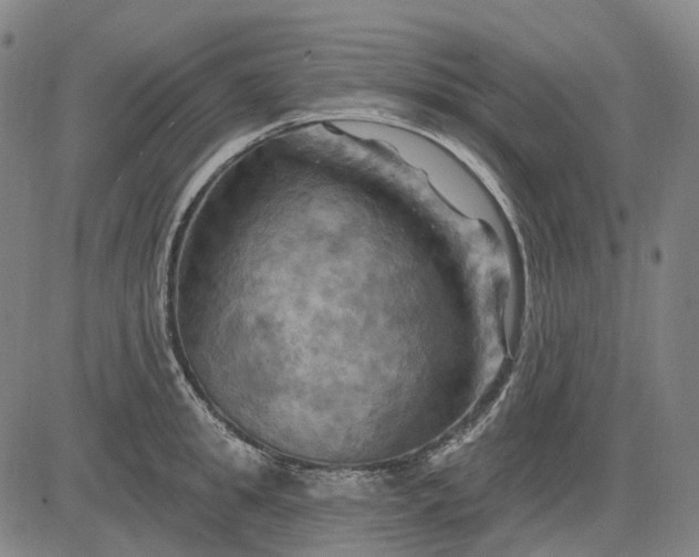 X0000083040949200702161703