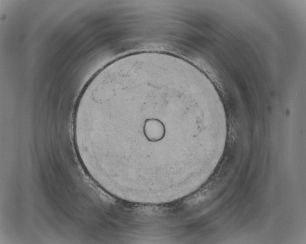 X0000083040950200702161703