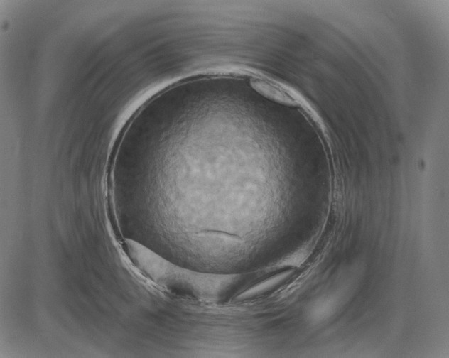 X0000083040951200702161703