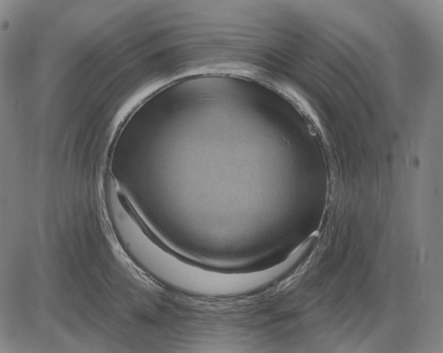 X0000083040952200702161703