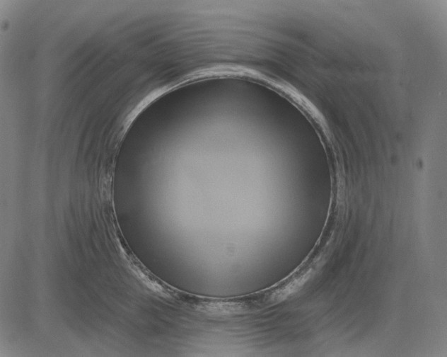 X0000083040953200702161703