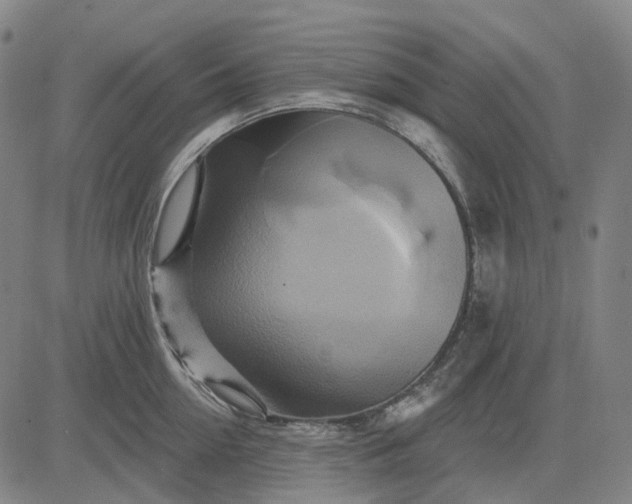 X0000083040954200702161703