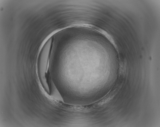 X0000083040955200702161703