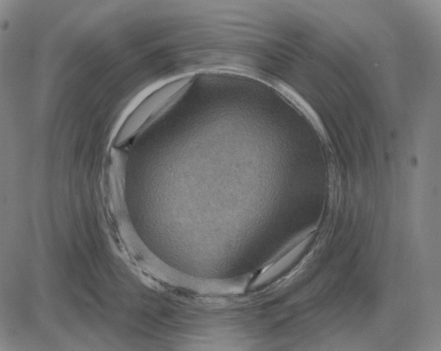 X0000083040956200702161703