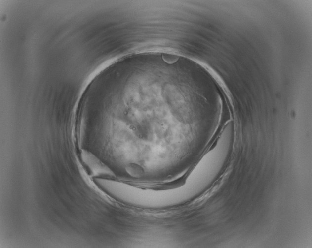 X0000083040957200702161703