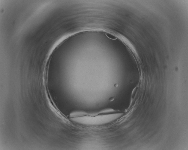 X0000083040958200702161703