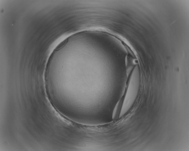 X0000083040959200702161703