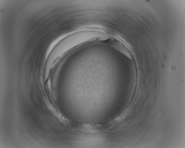 X0000083040960200702161703