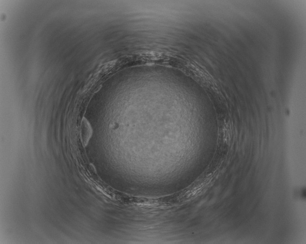 X0000083040961200702161702