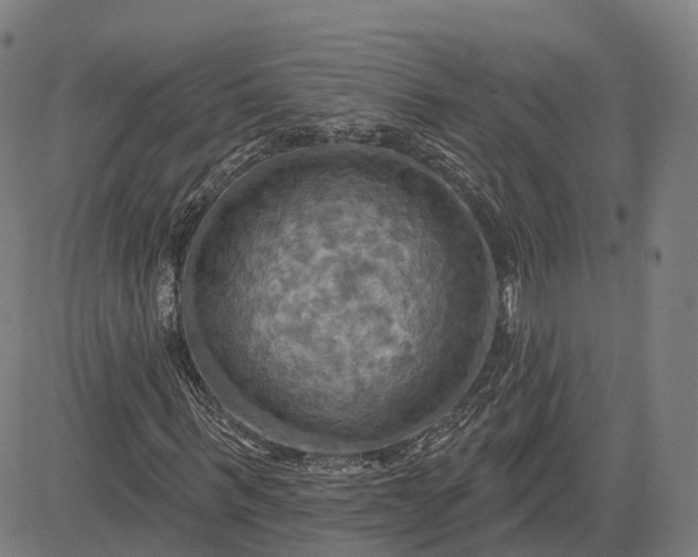 X0000083040963200702161702