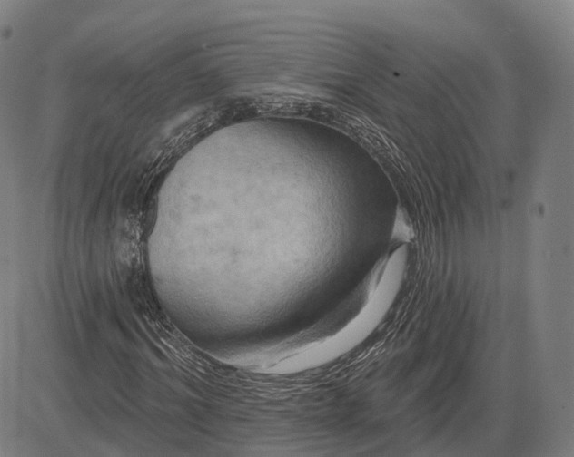 X0000083040964200702161702