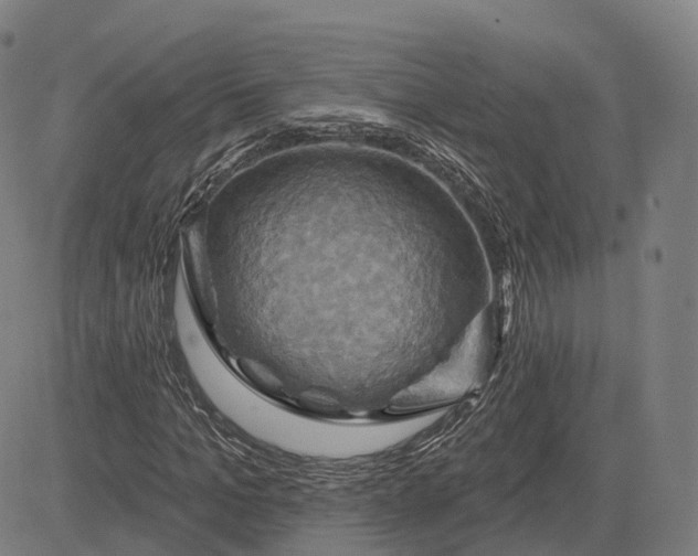 X0000083040965200702161702