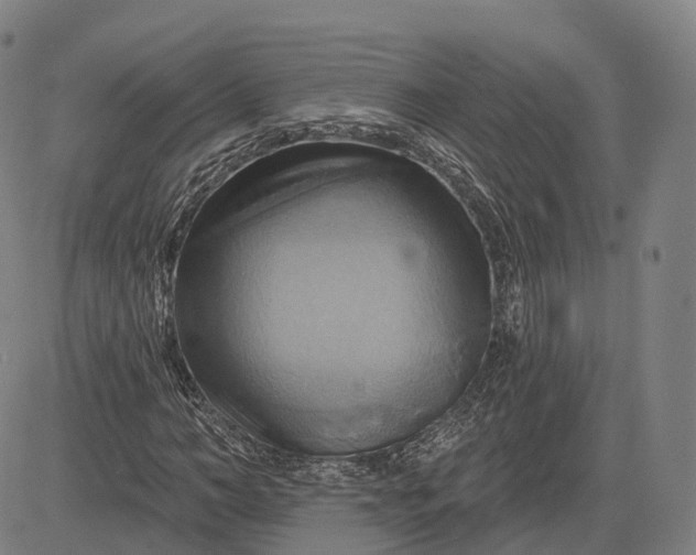 X0000083040966200702161702