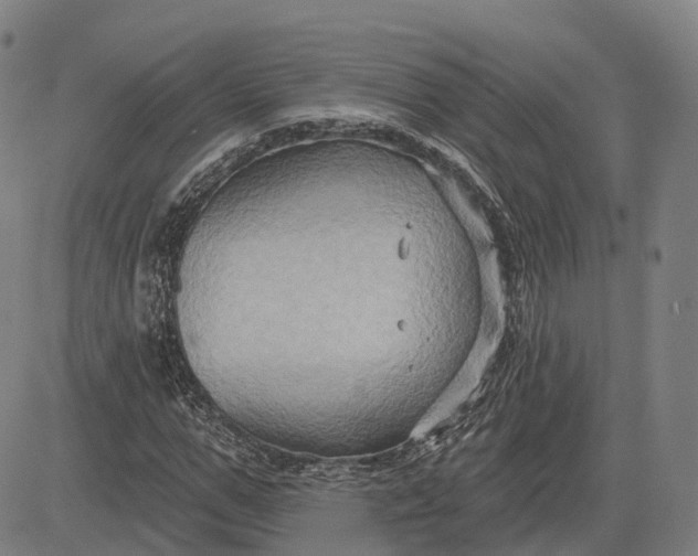 X0000083040967200702161702