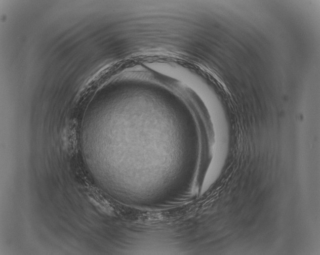 X0000083040968200702161702