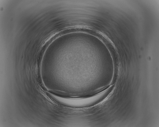 X0000083040969200702161702