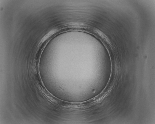 X0000083040970200702161702