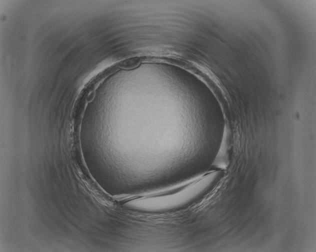 X0000083040971200702161702