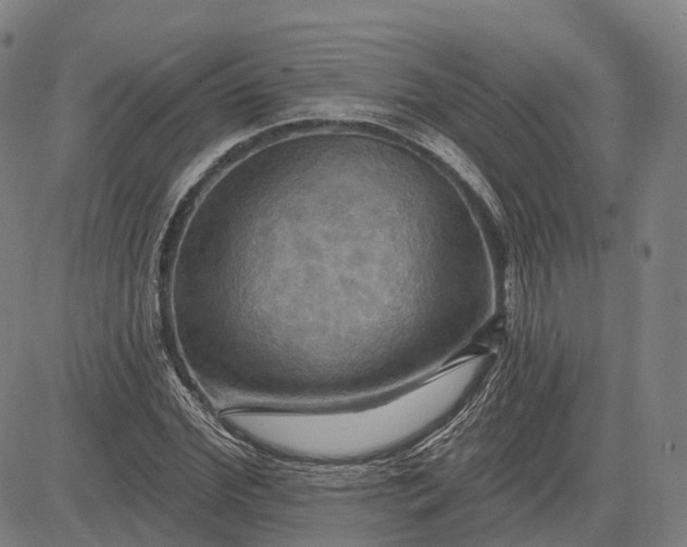 X0000083040972200702161702