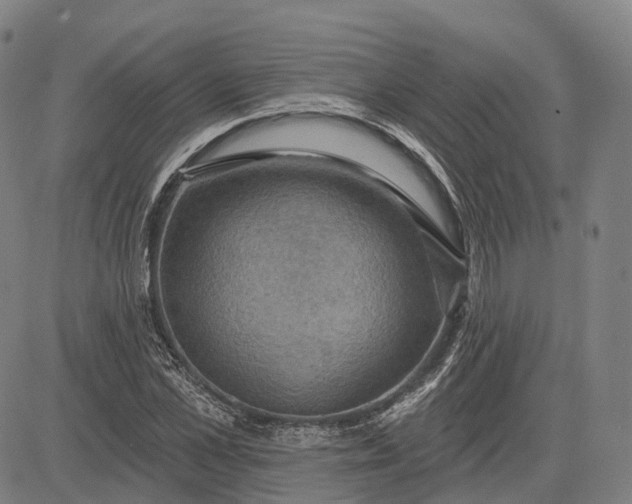 X0000083040973200702161702