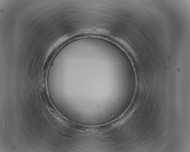 X0000083040974200702161702