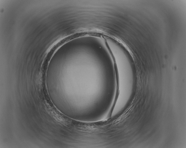 X0000083040975200702161702